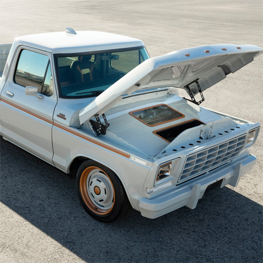 Ford F 100 Eluminator Slide